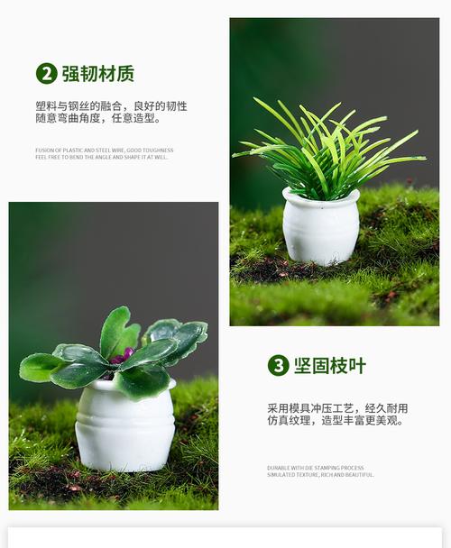 方寸之间的治愈力 迷你植物模型仿真小盆栽微景摆件