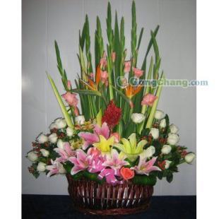 厦门莲坂绿意海花卉 都市花艺生活的绿洲