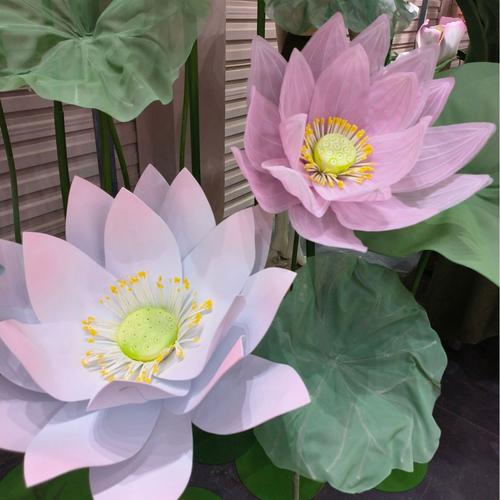 三水花卉 岭南水乡的花卉产业与芳菲之旅